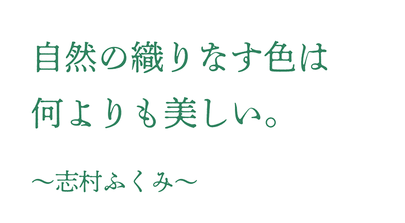 自然の織りなす色は何よりも美しい