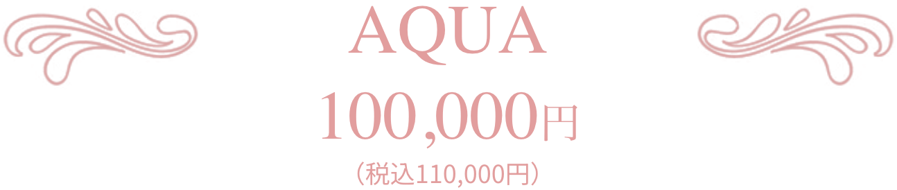 AQUA 100,000円(税込110,000円)